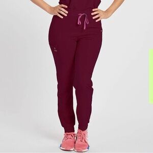 LIKE NEW Dolan jogger scrub pants in petite short